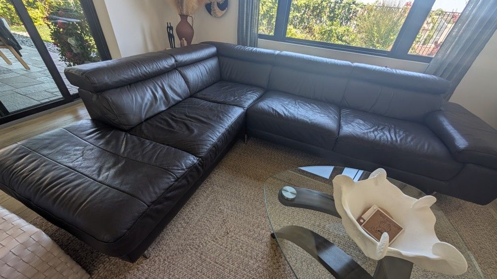 Modern Leather Couch