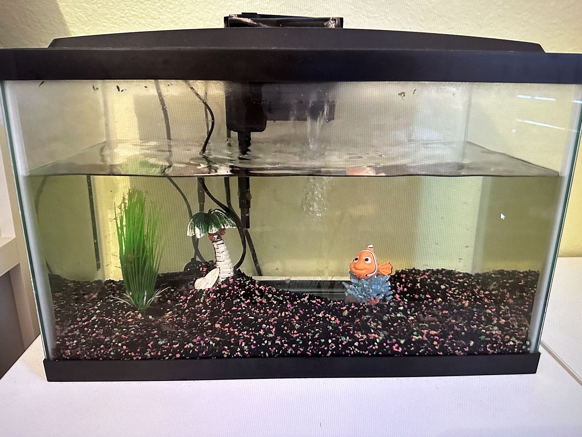 10 Gallon Aquarium With Accessories