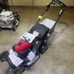 Honda Lawn Mower Hrx217vya