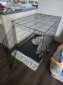 Large Petco Dog Crate with mat