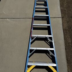8’ Ladder Werner 