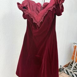 Vintage Velvet Dress 