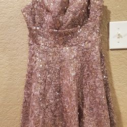 Embellished Mauve Dress  With Matching  Cover-up Shawl 