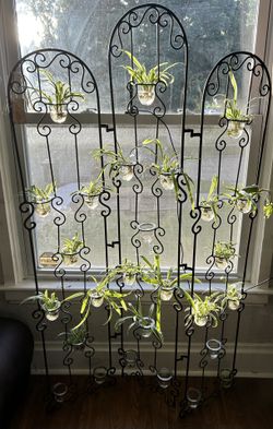 Brass Votive Trellis With Spider Plants
