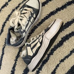 Amiri