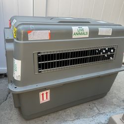 Big Dog Kennel 