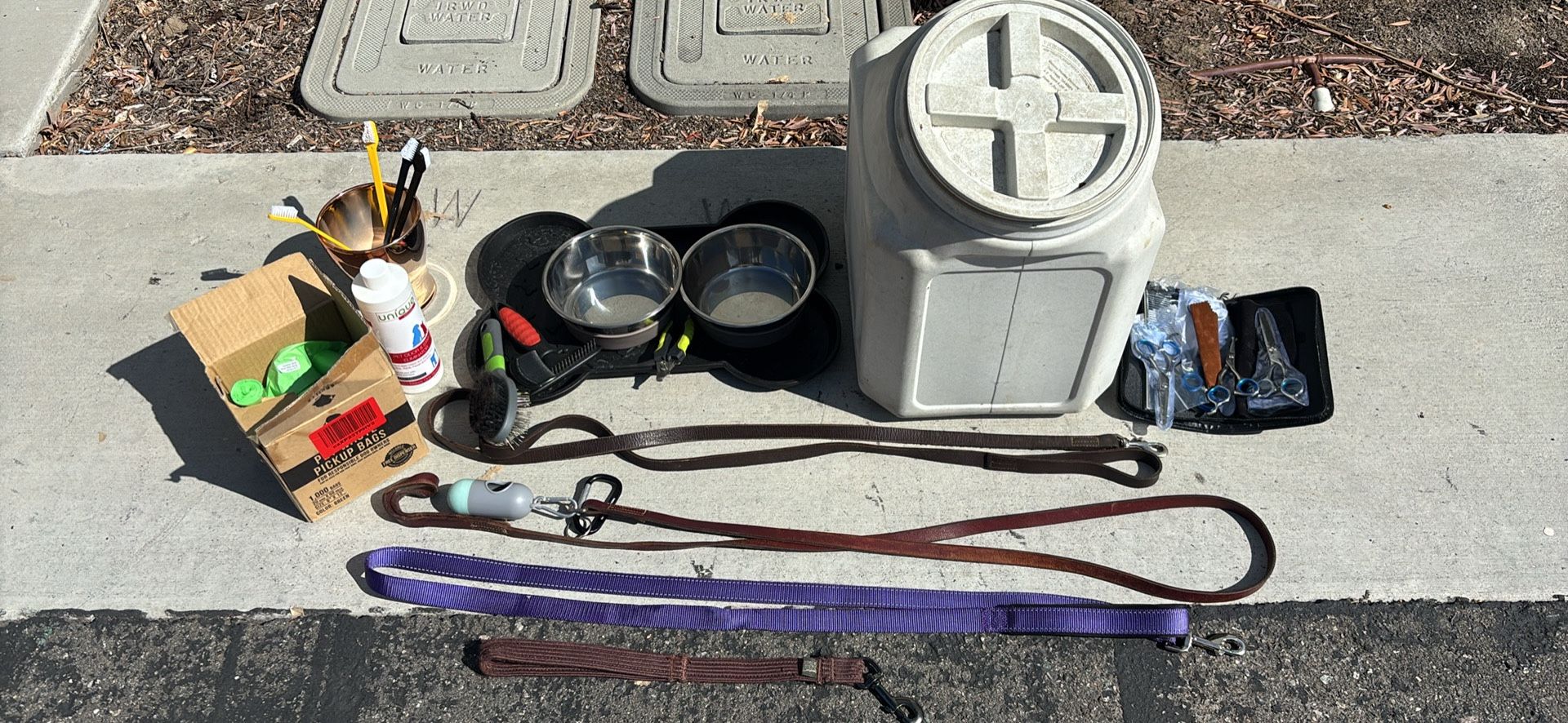 Dog supplies all included $140