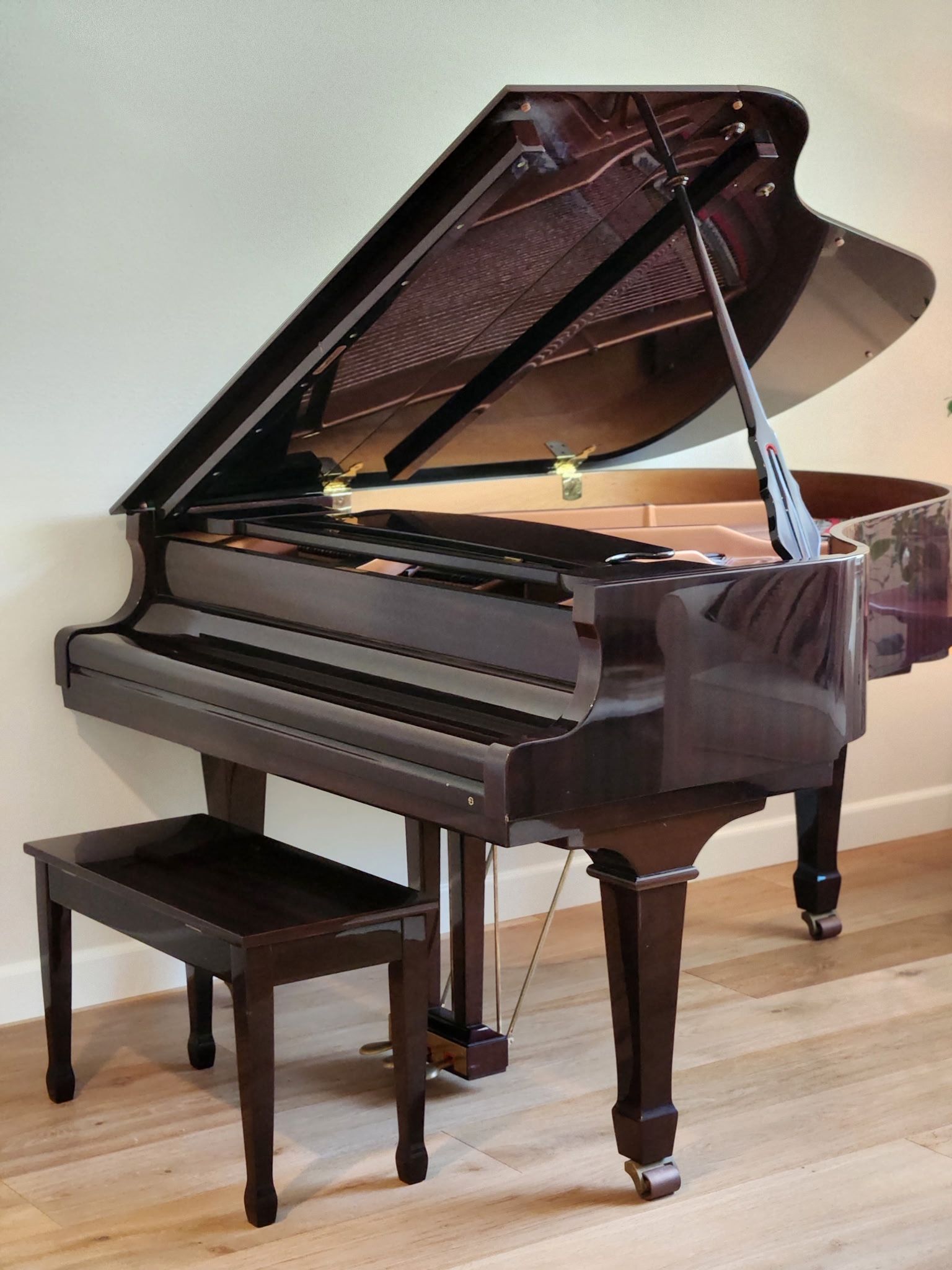 Young Chang Baby Grand Piano, PG-175