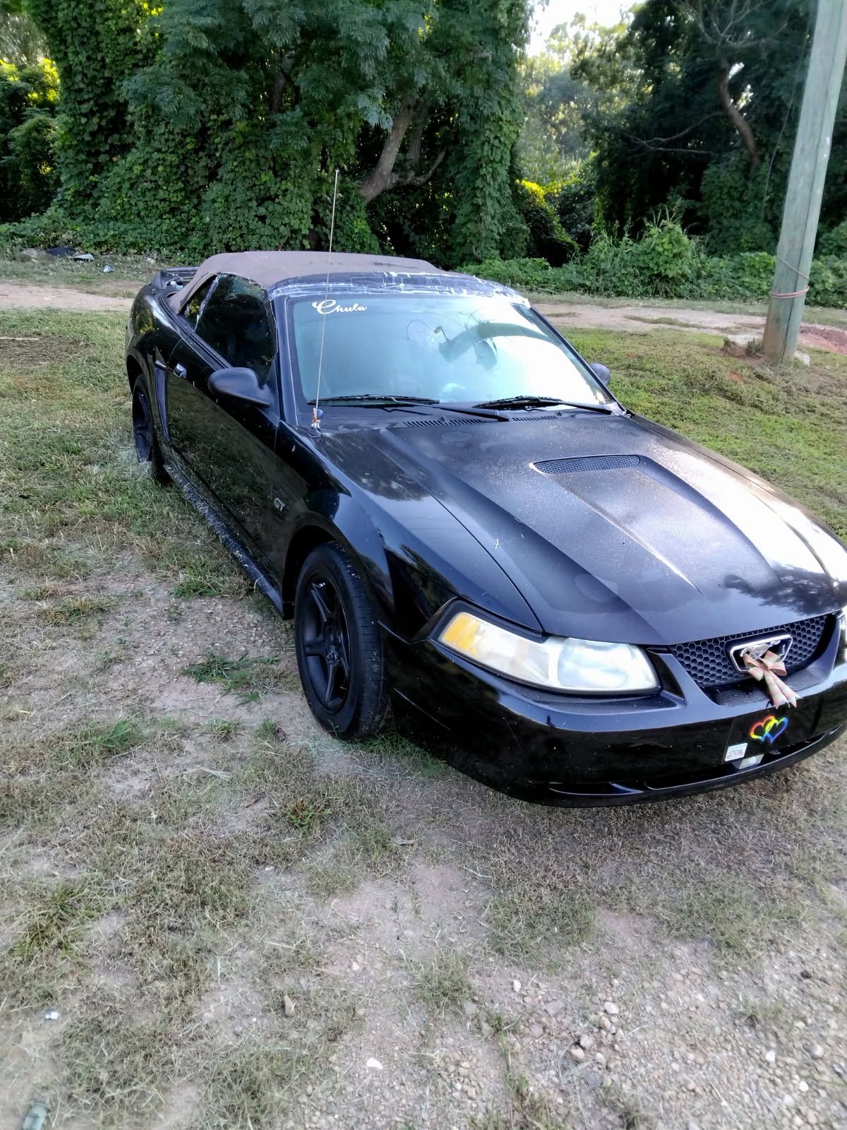 2000 Ford Mustang