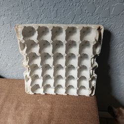30ct egg tray