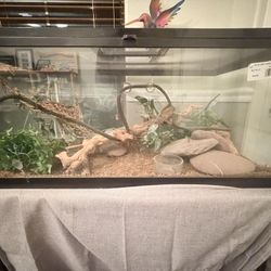 Chameleon /Bearded Dragon/Lizard Enclosure