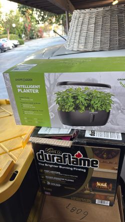 Indoor Planter