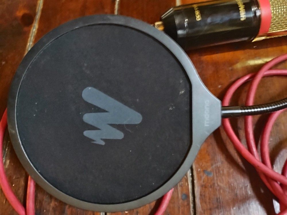 Microphone