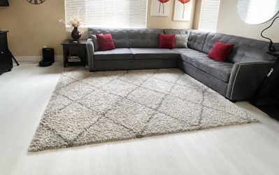 Shaggy area rug 8’ x 10’ - beige