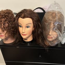 Brand New Mannequin Heads