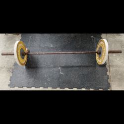 Olympic 7ft Barbell And Rep Fitness 35lbs Bumper Plates (70lb Pair) 