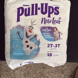 Pull Ups Size 2T-3T