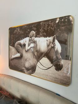 Framed Vintage Horse Portrait