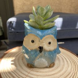 Owl Planter 