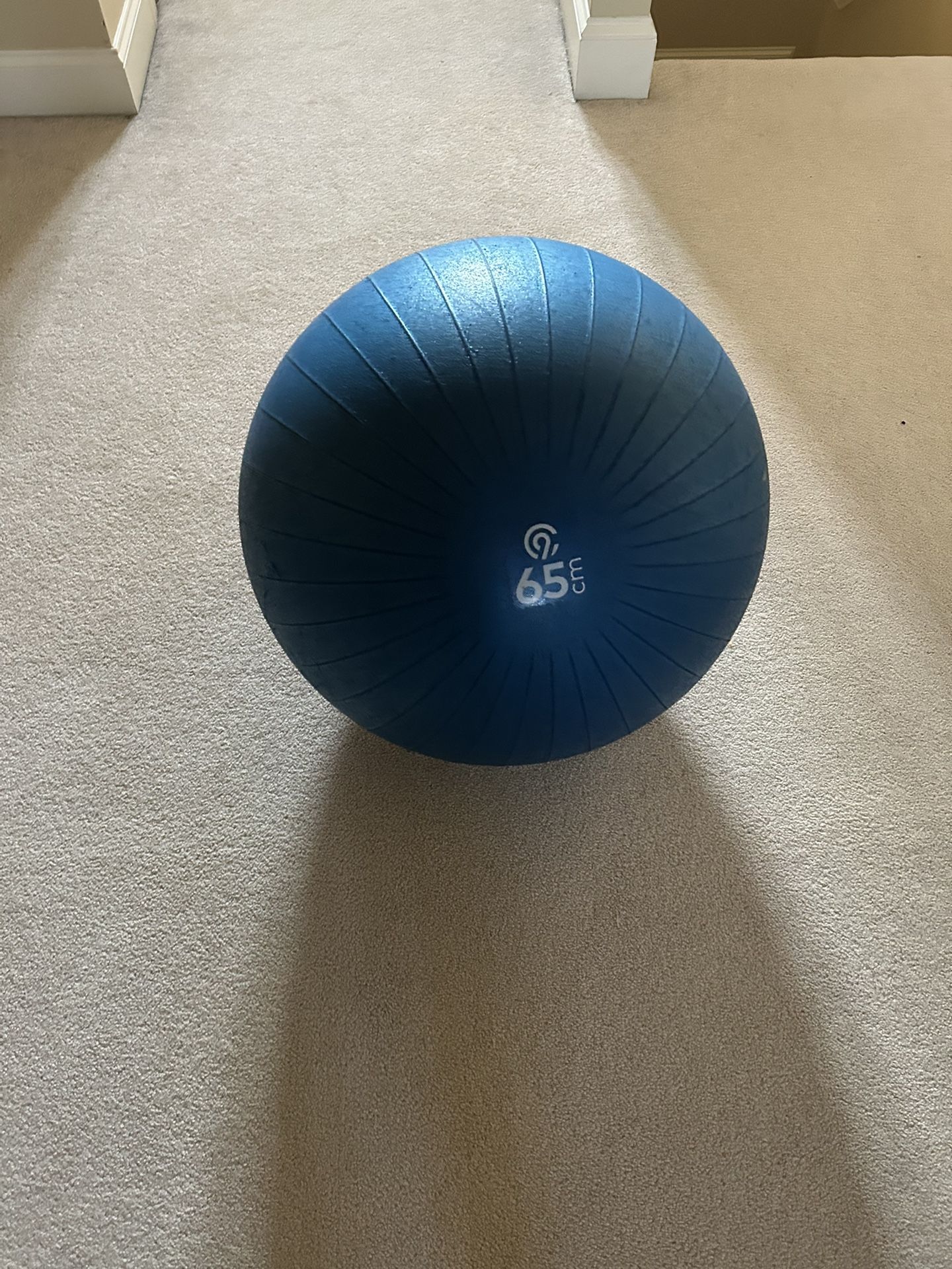 Exercise Ball for Sale