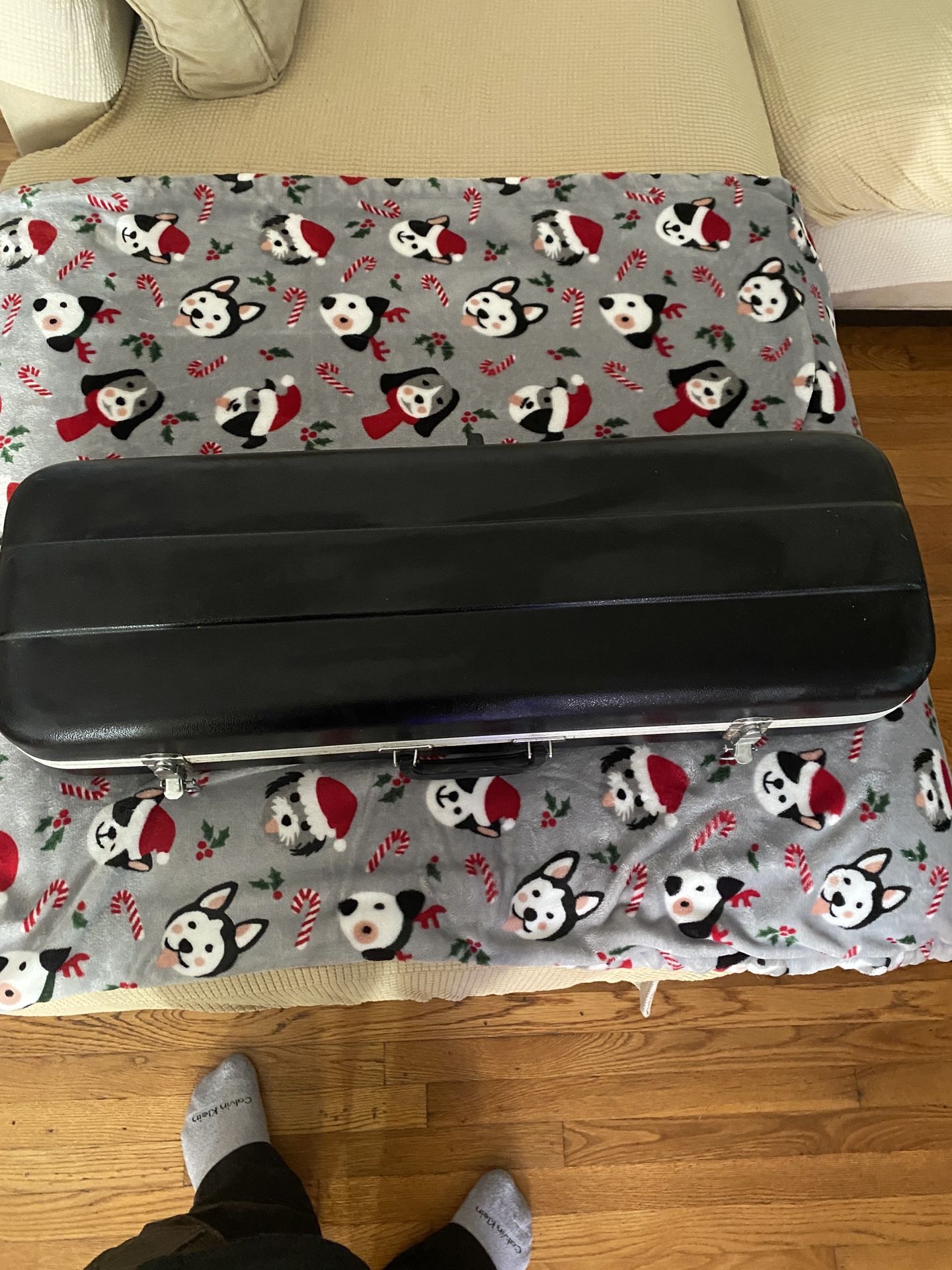 Santa Rina Violin (Model # 47676. 3/4