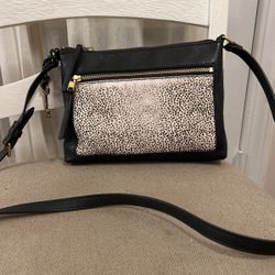 Fossil Crossbody