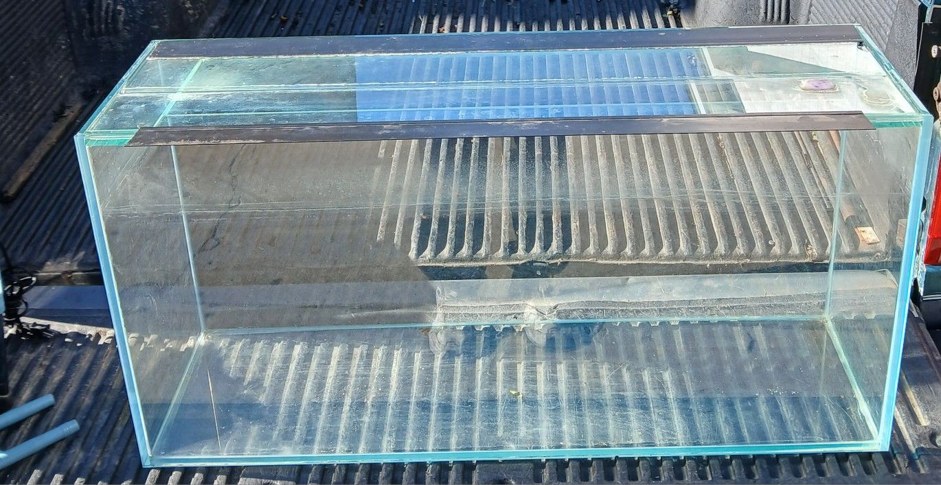 Triple Thick 40 Gallon Beveled Reptile Tank/ Aquarium