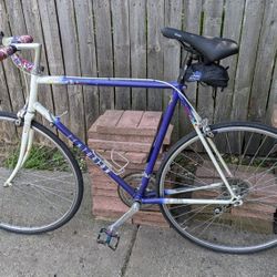 Centurion 10 Speed Road Bike 