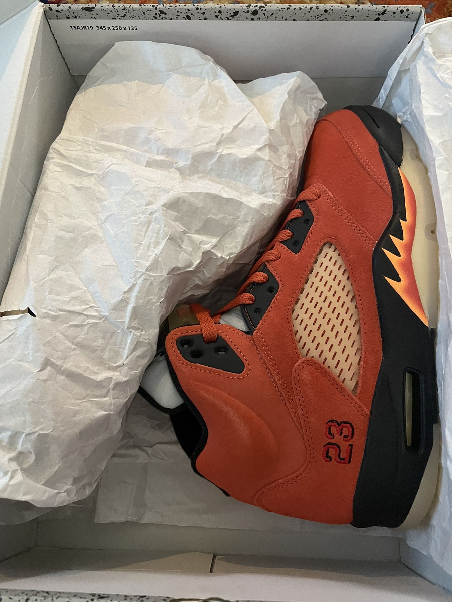 Jordan Retro 5 Dunk On Mars