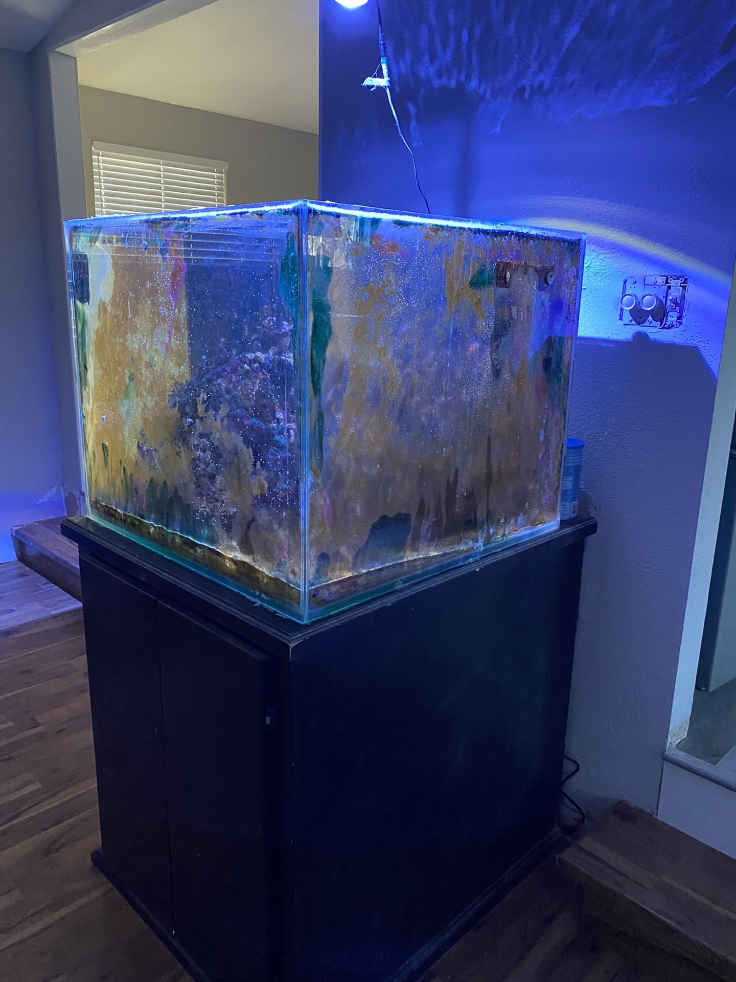 90 Gallon Saltwater Fish Tank