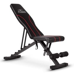 FLYBIRD Adjustable Workout Bench 
