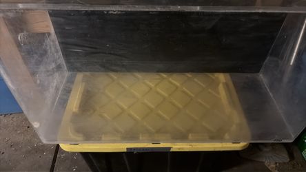 50 Gallon Tank