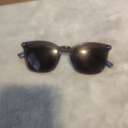 Revo Sunglasses 