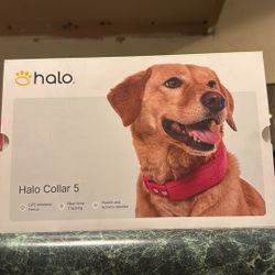 Halo collar 5