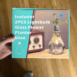 2pc Lightbulb Glass Flower Planter Vase