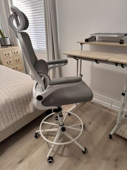 Ergonomic Computer Chair / Drafting Height