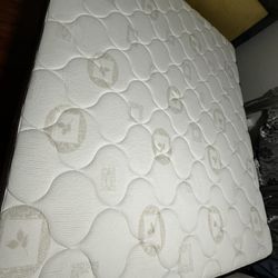 Nice  Comfortable And Clean 