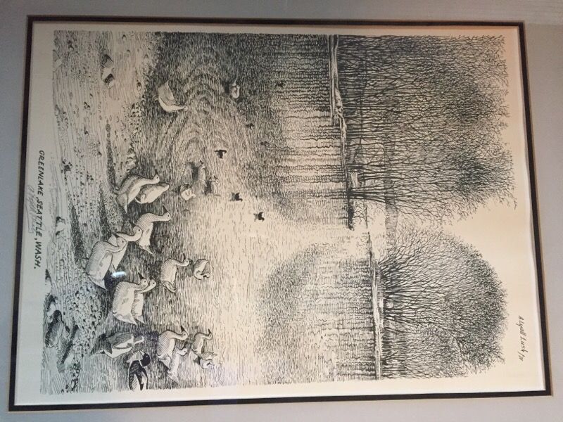 Original 1971 Green Lake Seattle pen sketch by A.Lyall Lush signed framed