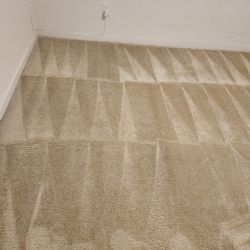 Carpet Installation 