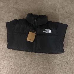 Black North face 700 Coat 
