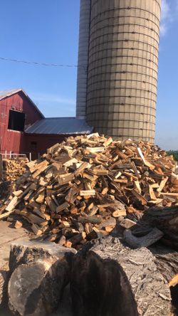 Firewood