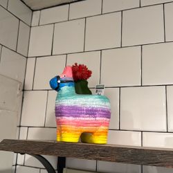 Cactus and piñata pot