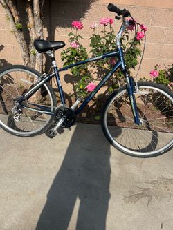 Giant Cypress DX hybrid bicycle