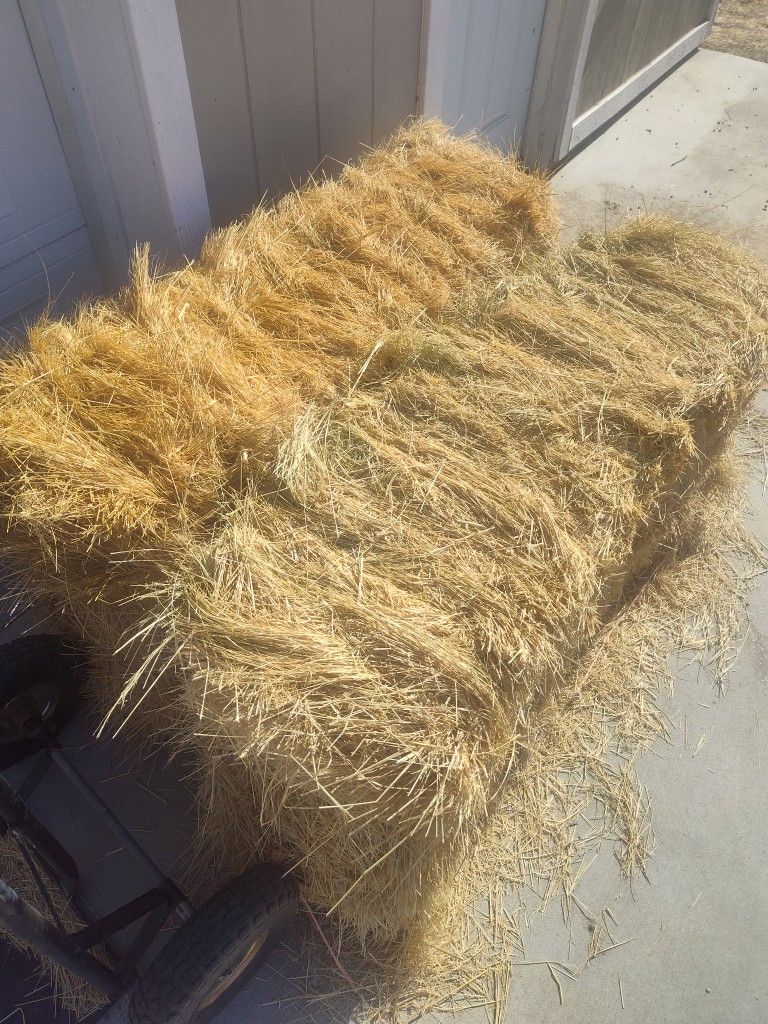 10 Bales Of Hay