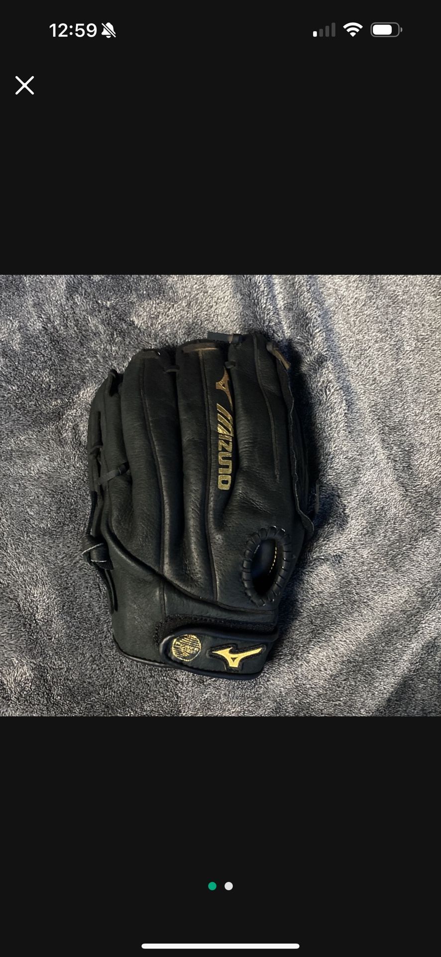 Mizuno Ballpark Professional Model Baseball Glove