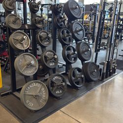 Olympic Plates – Bumper Plates – Olympic Bars – Dumbbells – Kettlebells – Home Gym – Smith Machine – Squat Rack – Olympic Bench