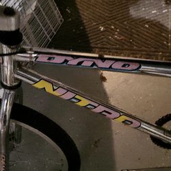 Bicycle Dyno Nitro GT 1995