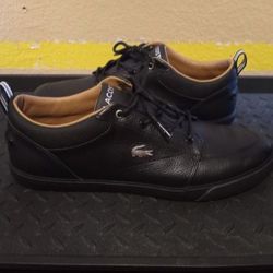 Men's Lacoste Size 12