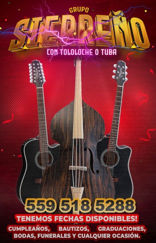 Grupo De Guitarras Con Tololoche