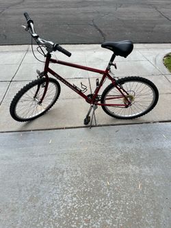 21 speed Schwinn bike